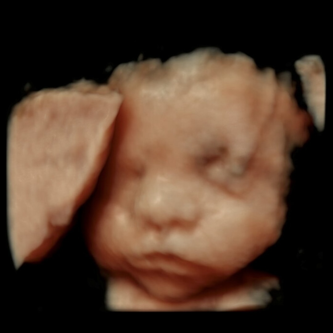 Photo shared by Aline for their Babylist baby registry.