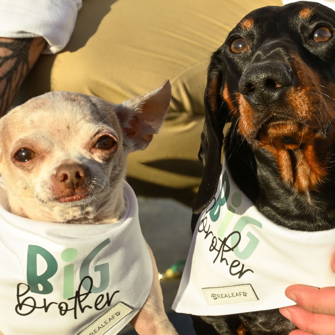 Photo shared by Lauren for their Babylist baby registry.