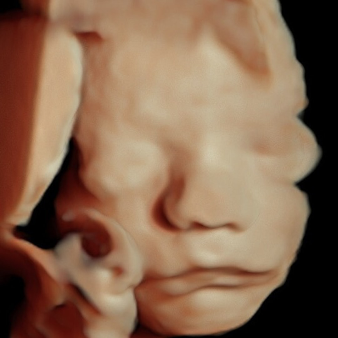 Photo shared by Alexis for their Babylist baby registry.