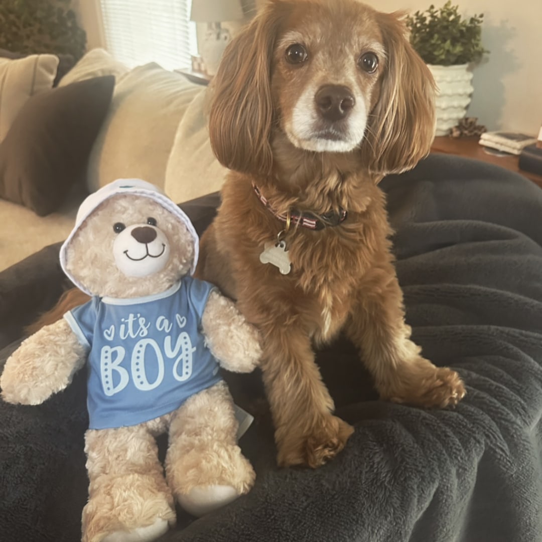Photo shared by Madeline for their Babylist baby registry.