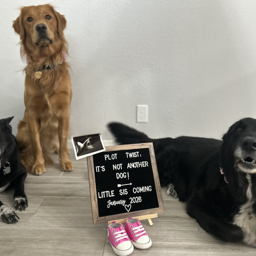 Photo shared by Laura for their Babylist baby registry.