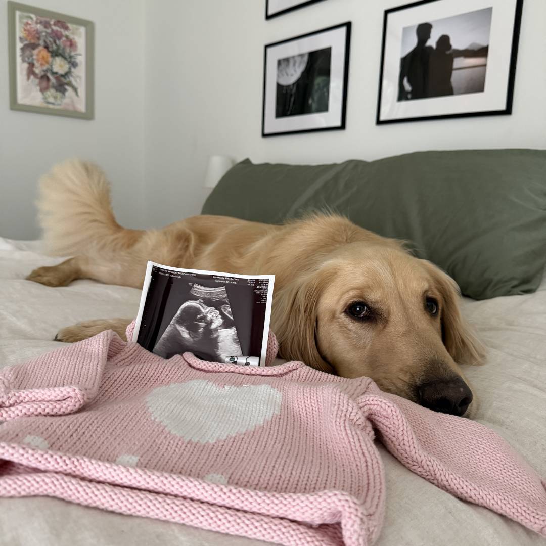 Photo shared by Mallory for their Babylist baby registry.