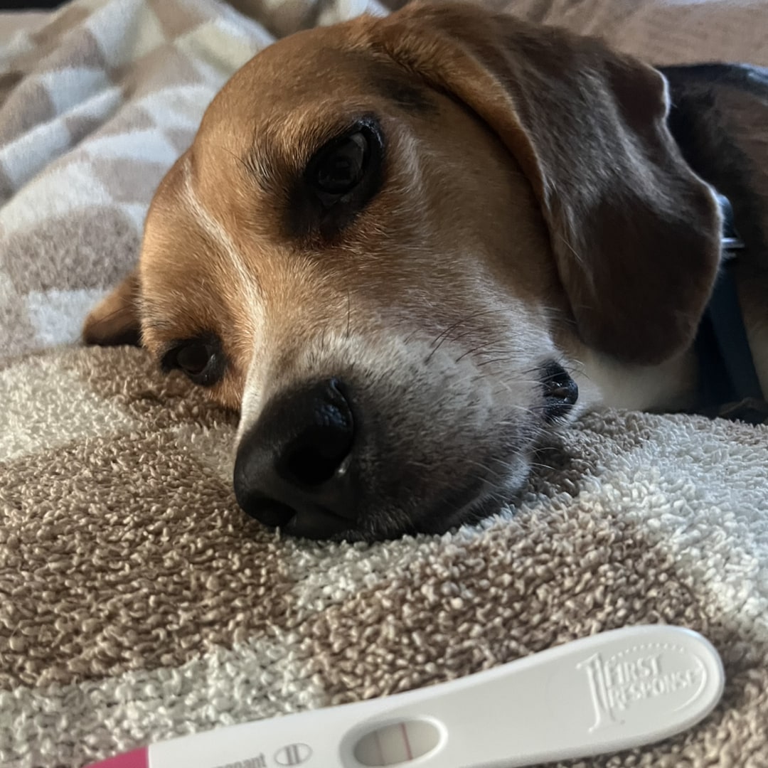 Photo shared by Johanna for their Babylist baby registry.