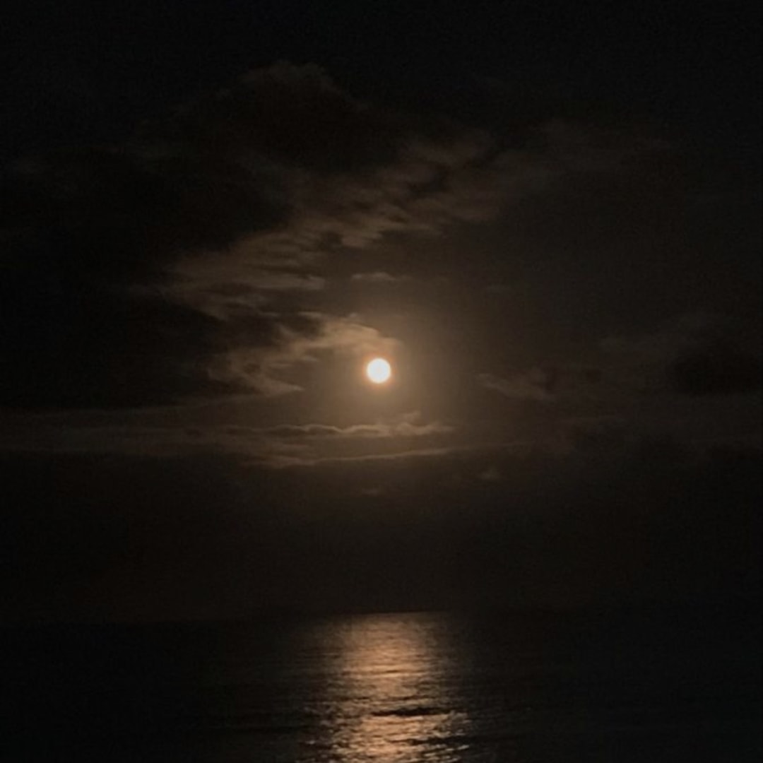 Photo shared by Tamya for their Babylist baby registry.