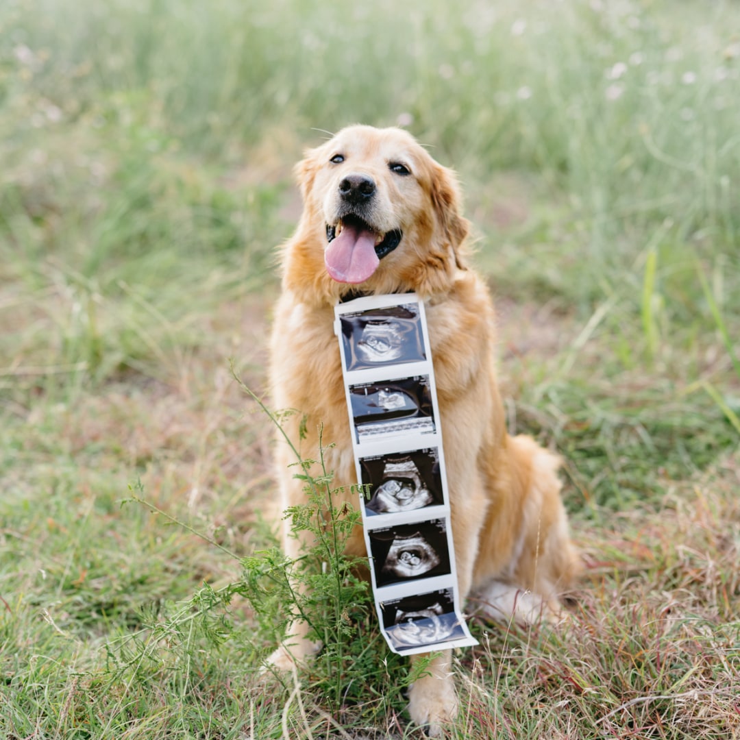 Photo shared by Danielle for their Babylist baby registry.