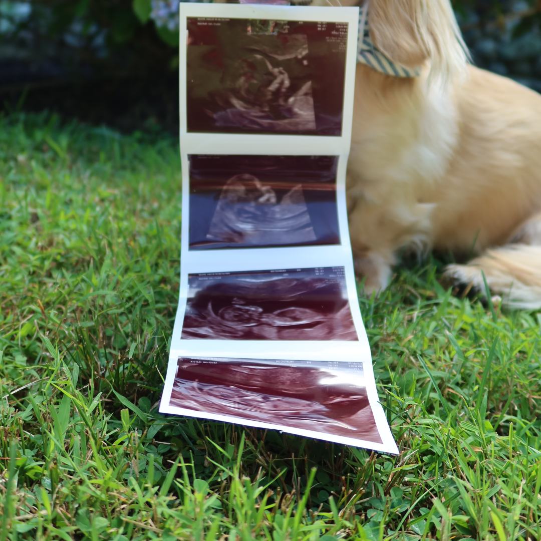Photo shared by Hallie for their Babylist baby registry.