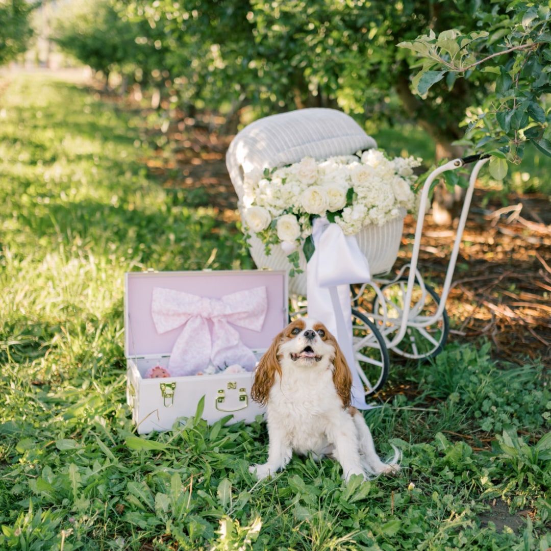 Photo shared by Mallory for their Babylist baby registry.
