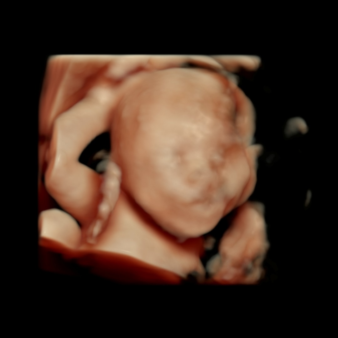 Photo shared by Domenique for their Babylist baby registry.