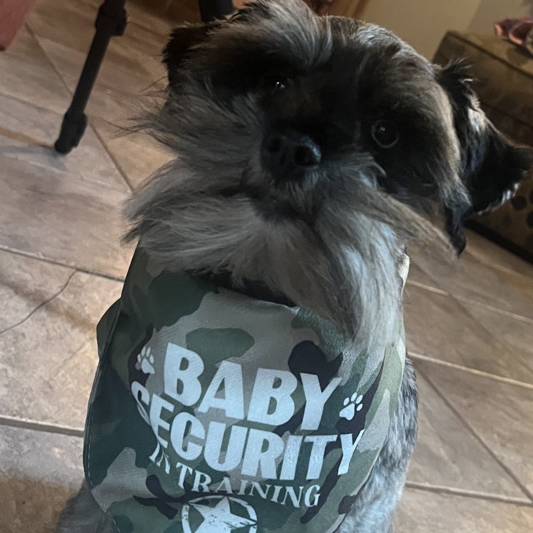 Photo shared by Gwendwr for their Babylist baby registry.