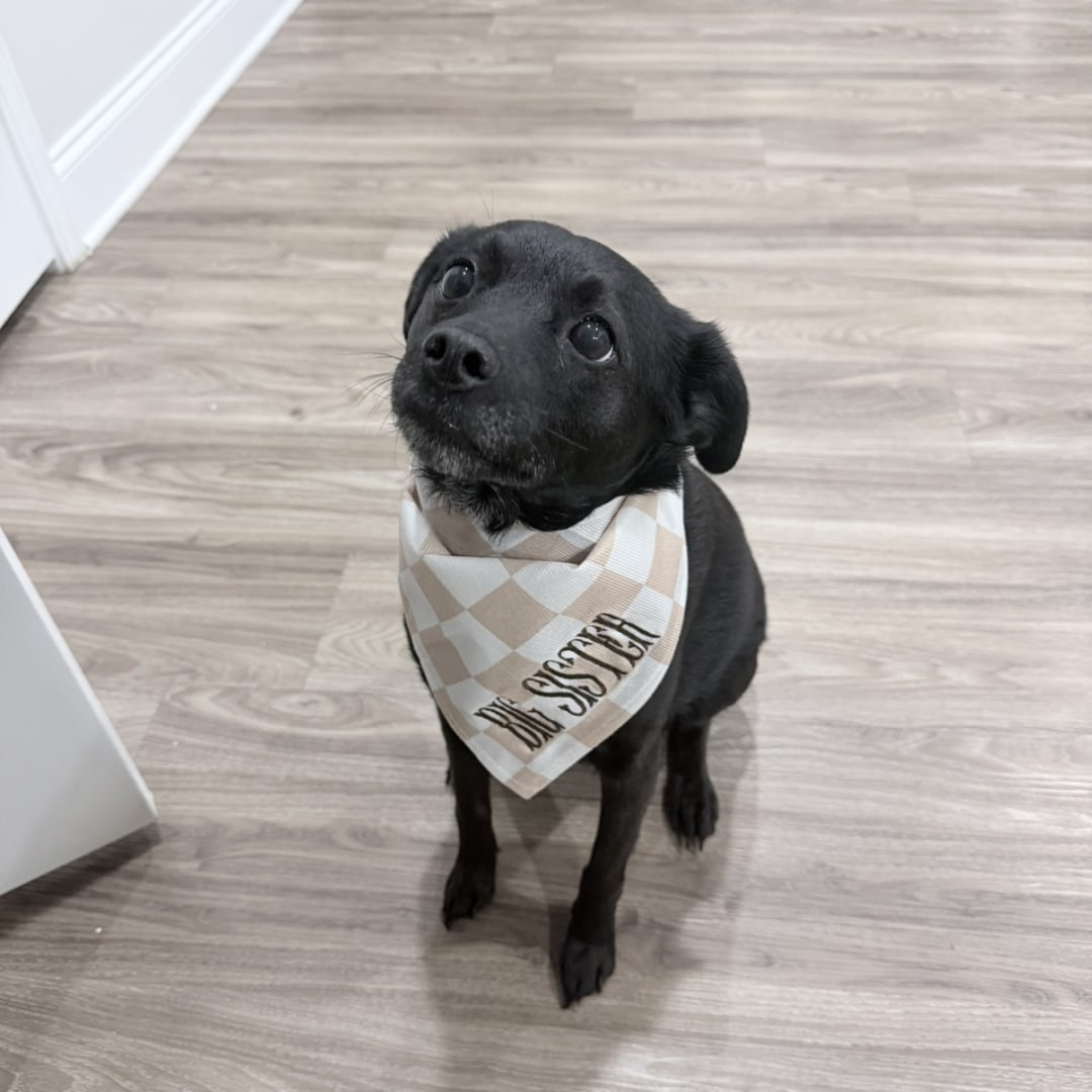 Photo shared by Zach & Sydney for their Babylist baby registry.