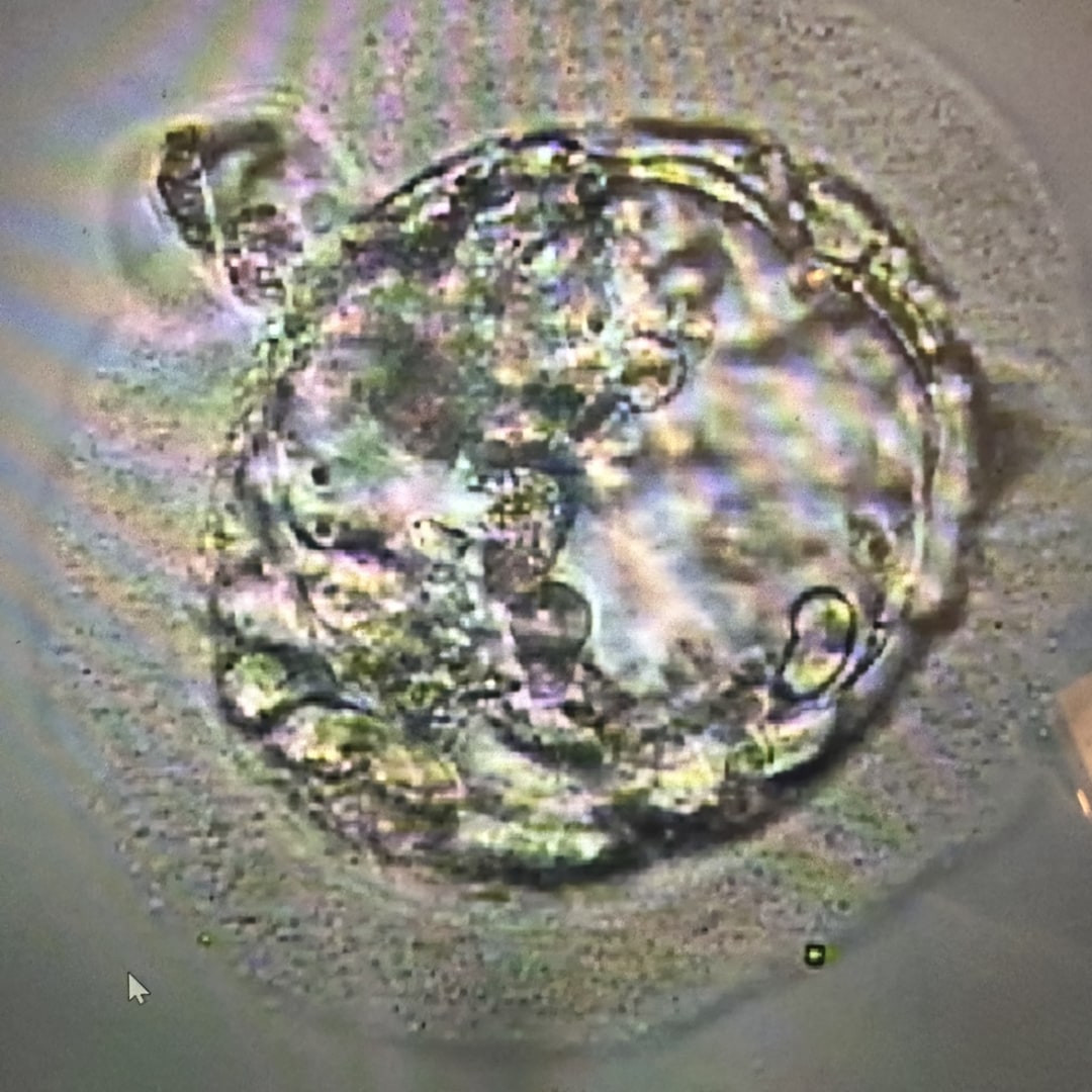 Photo shared by Erik for their Babylist baby registry.