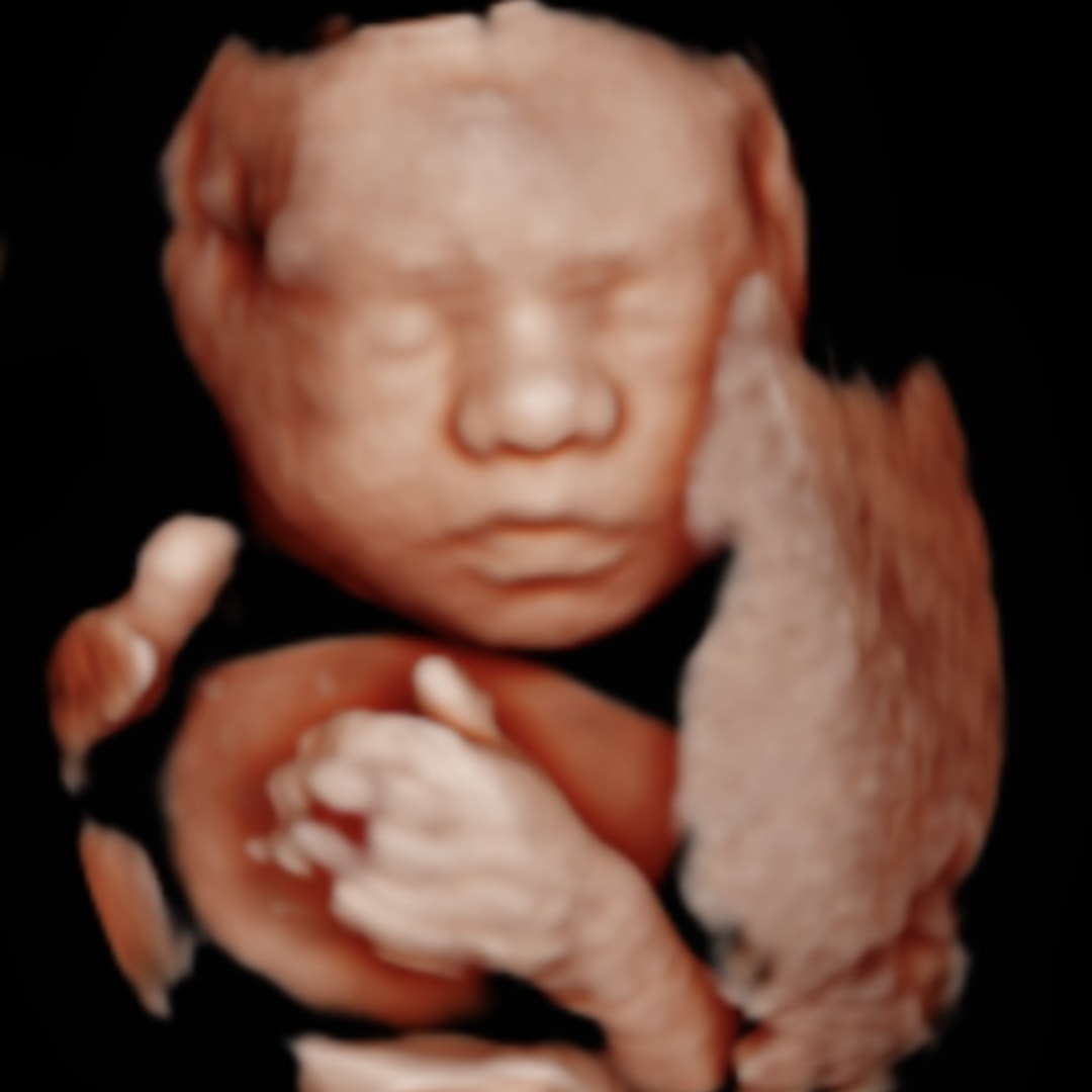 Photo shared by Natalie for their Babylist baby registry.