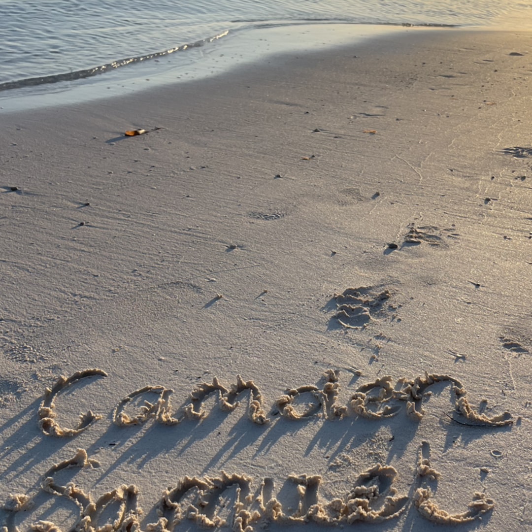 Photo shared by Ashley for their Babylist baby registry.