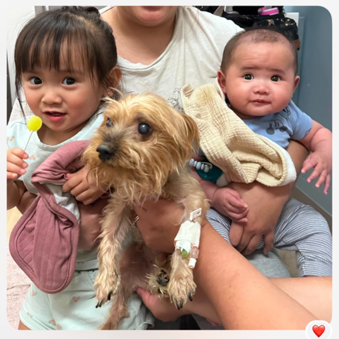Photo shared by Anna for their Babylist baby registry.