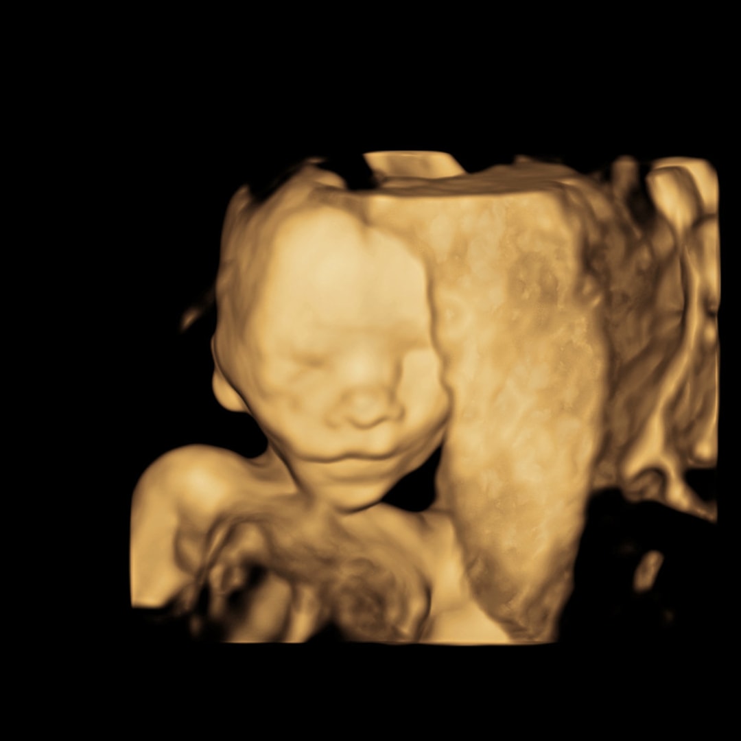 Photo shared by Shannon for their Babylist baby registry.
