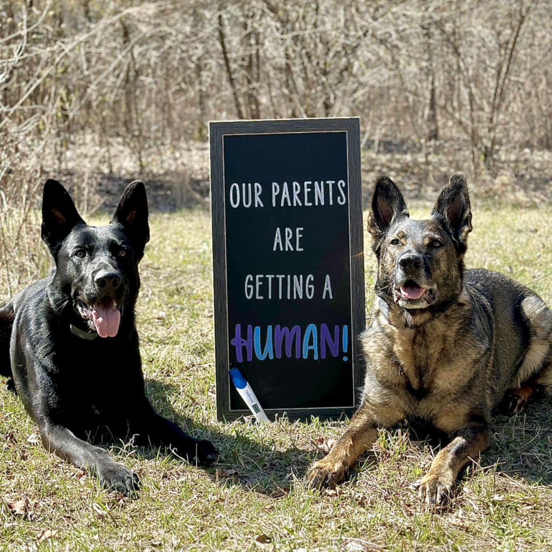 Photo shared by Cortney for their Babylist baby registry.