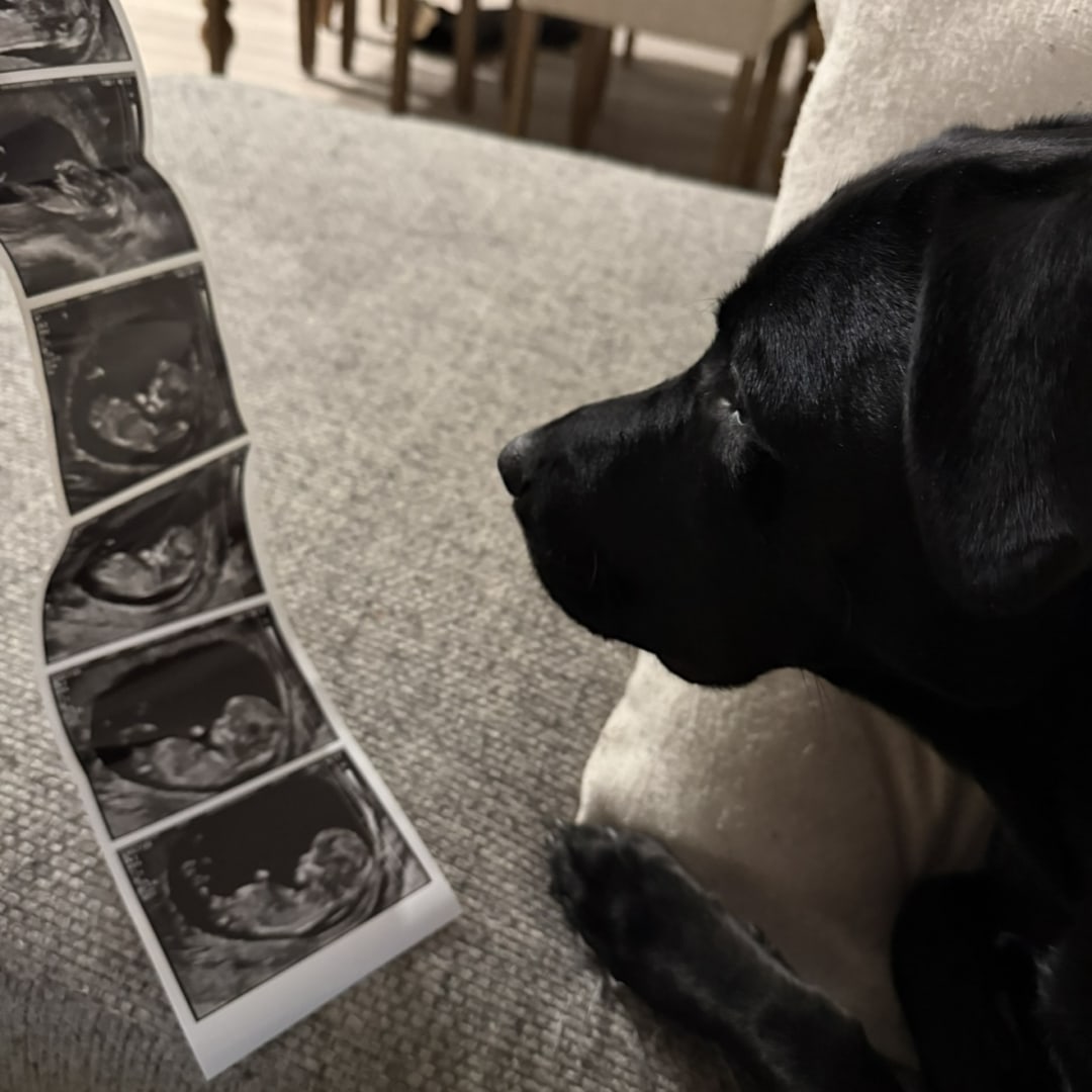 Photo shared by Hayden for their Babylist baby registry.