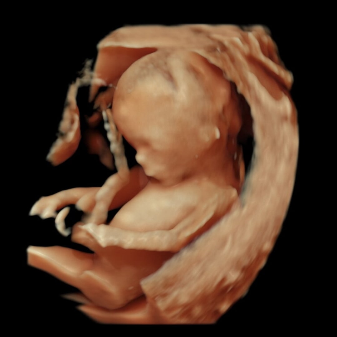 Photo shared by Genesis for their Babylist baby registry.