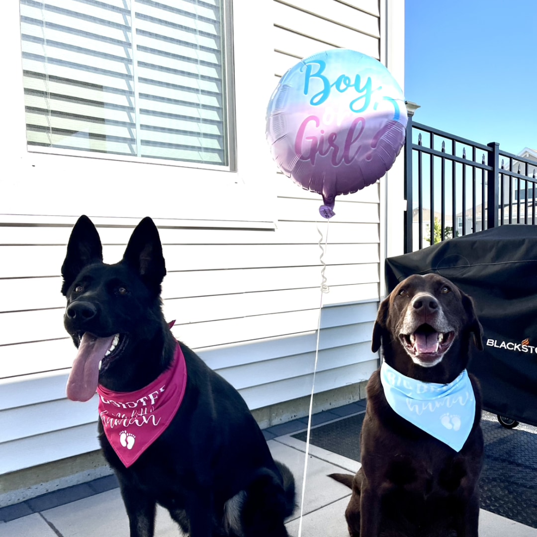 Photo shared by Staci for their Babylist baby registry.