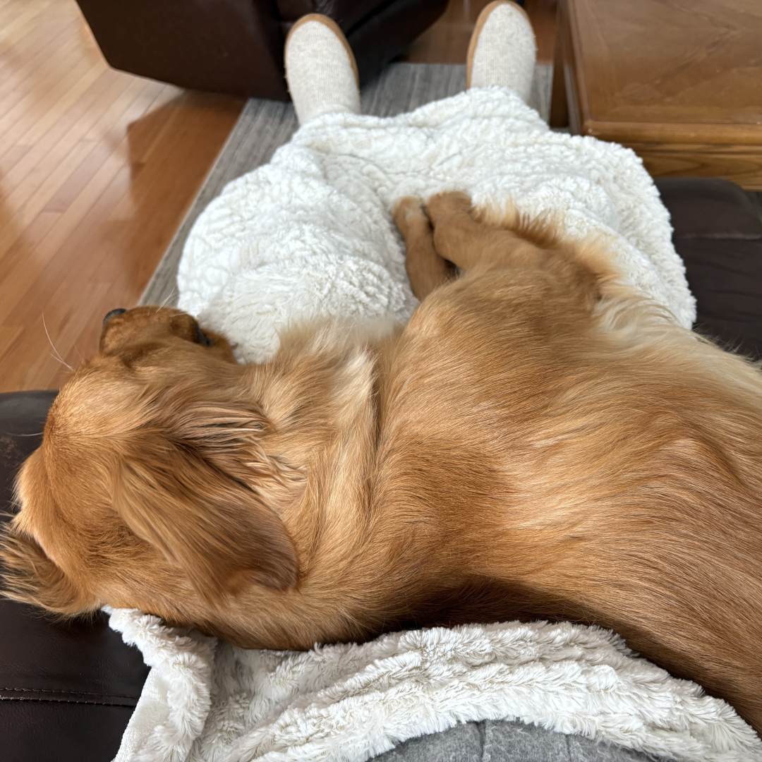 Photo shared by Abby for their Babylist baby registry.