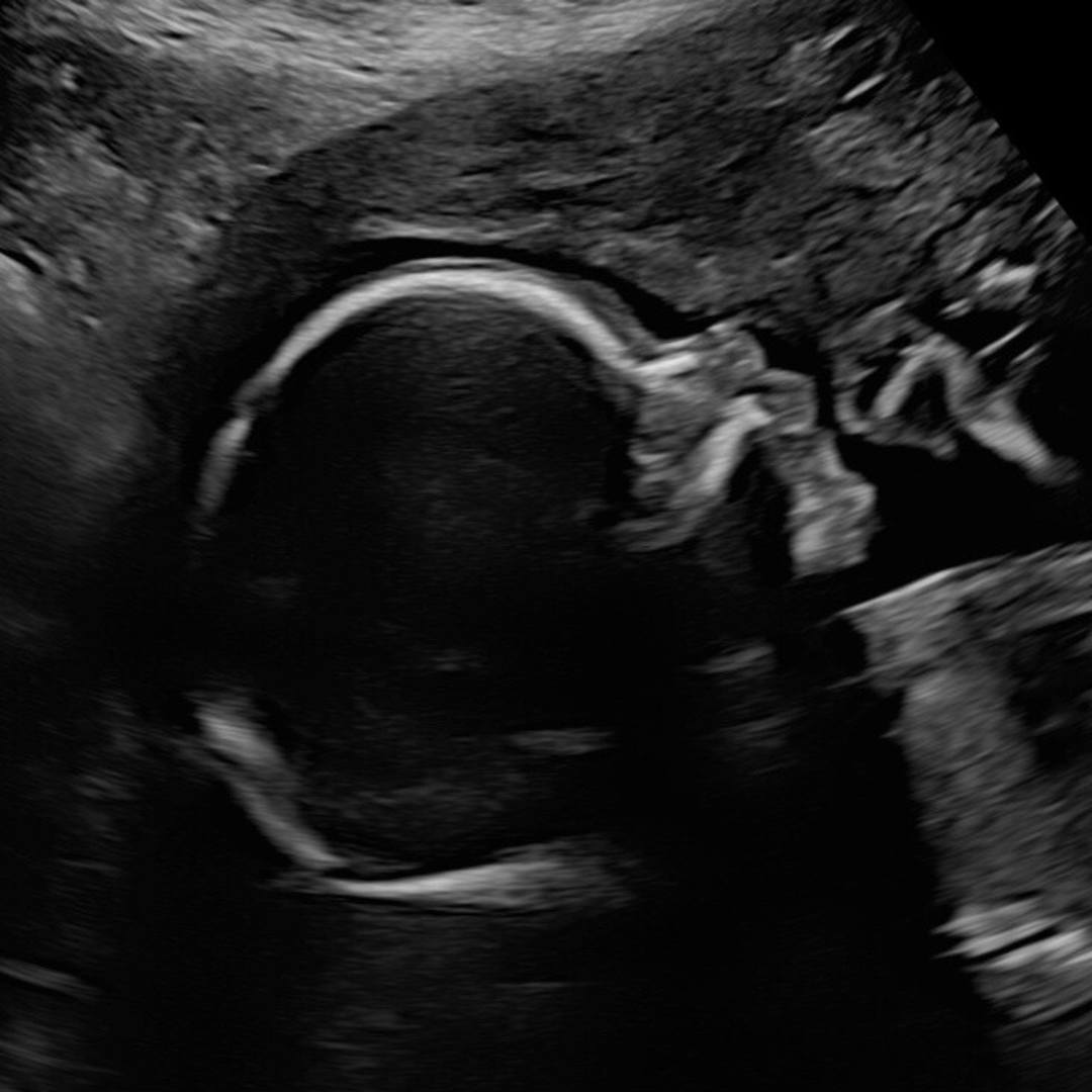 Photo shared by Jennifer for their Babylist baby registry.