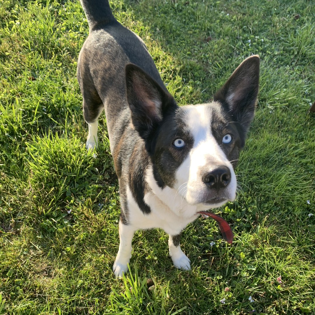 Photo shared by Jessica for their Babylist baby registry.