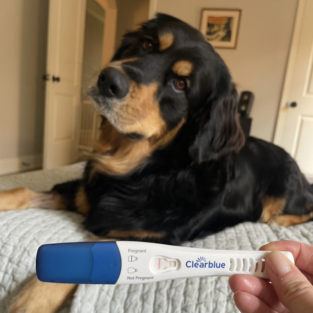 Photo shared by Jessica for their Babylist baby registry.