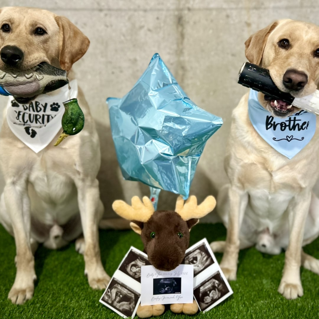 Photo shared by Bailey for their Babylist baby registry.