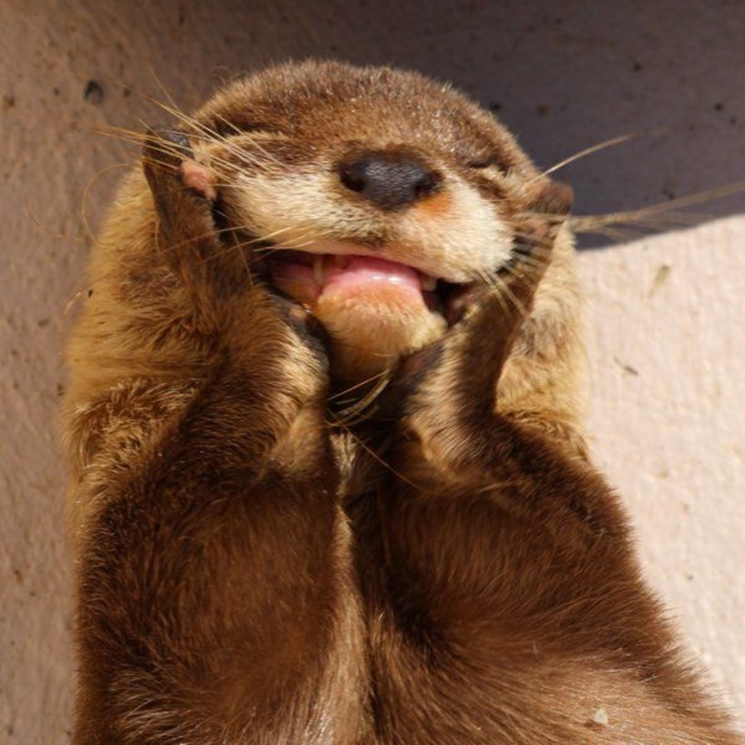 Photo shared by Nicole for their Babylist baby registry.