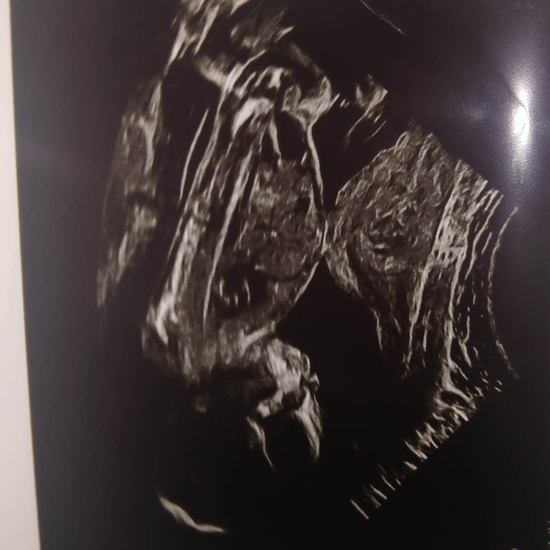 Photo shared by Dejanae for their Babylist baby registry.