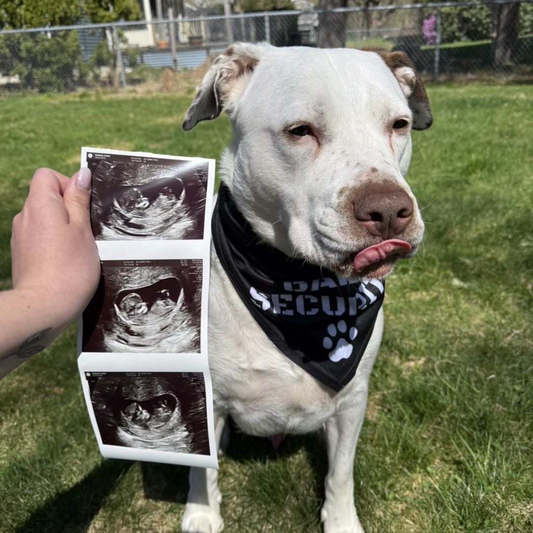 Photo shared by Emma for their Babylist baby registry.
