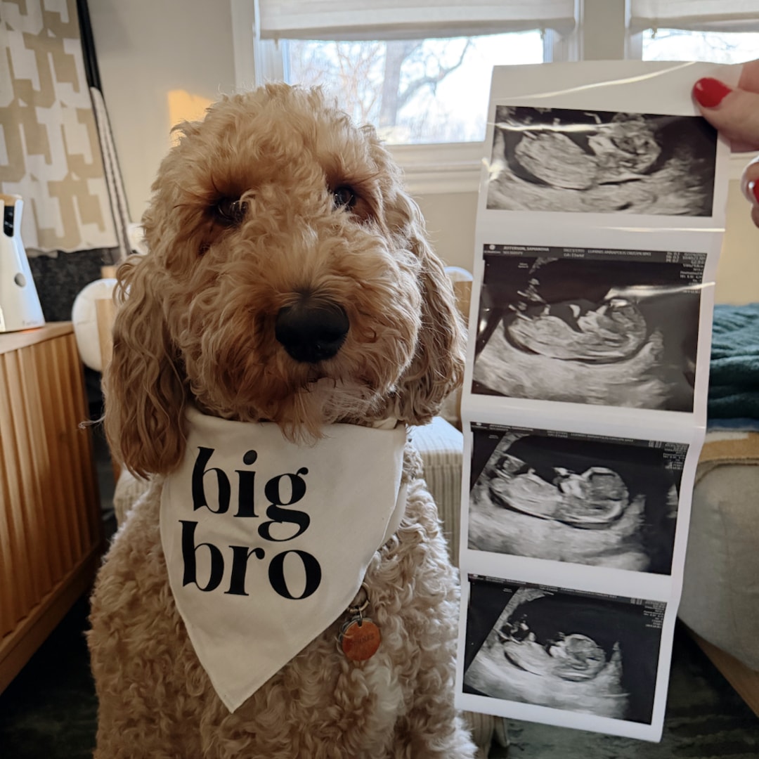 Photo shared by Sammie for their Babylist baby registry.