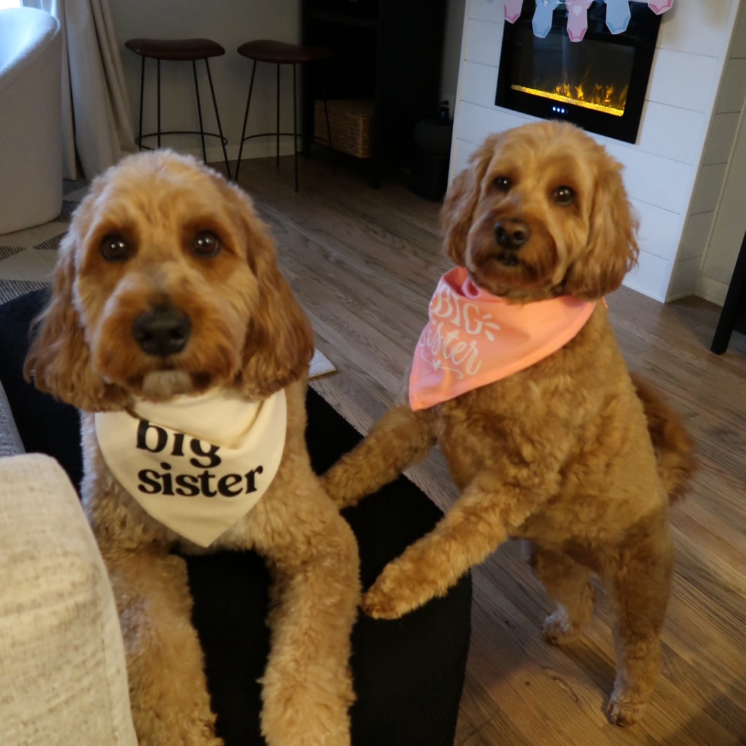 Photo shared by Alexis for their Babylist baby registry.