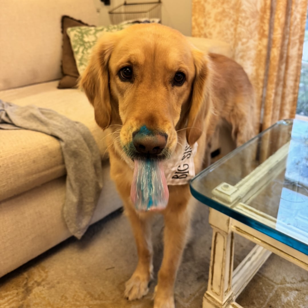 Photo shared by EJ for their Babylist baby registry.