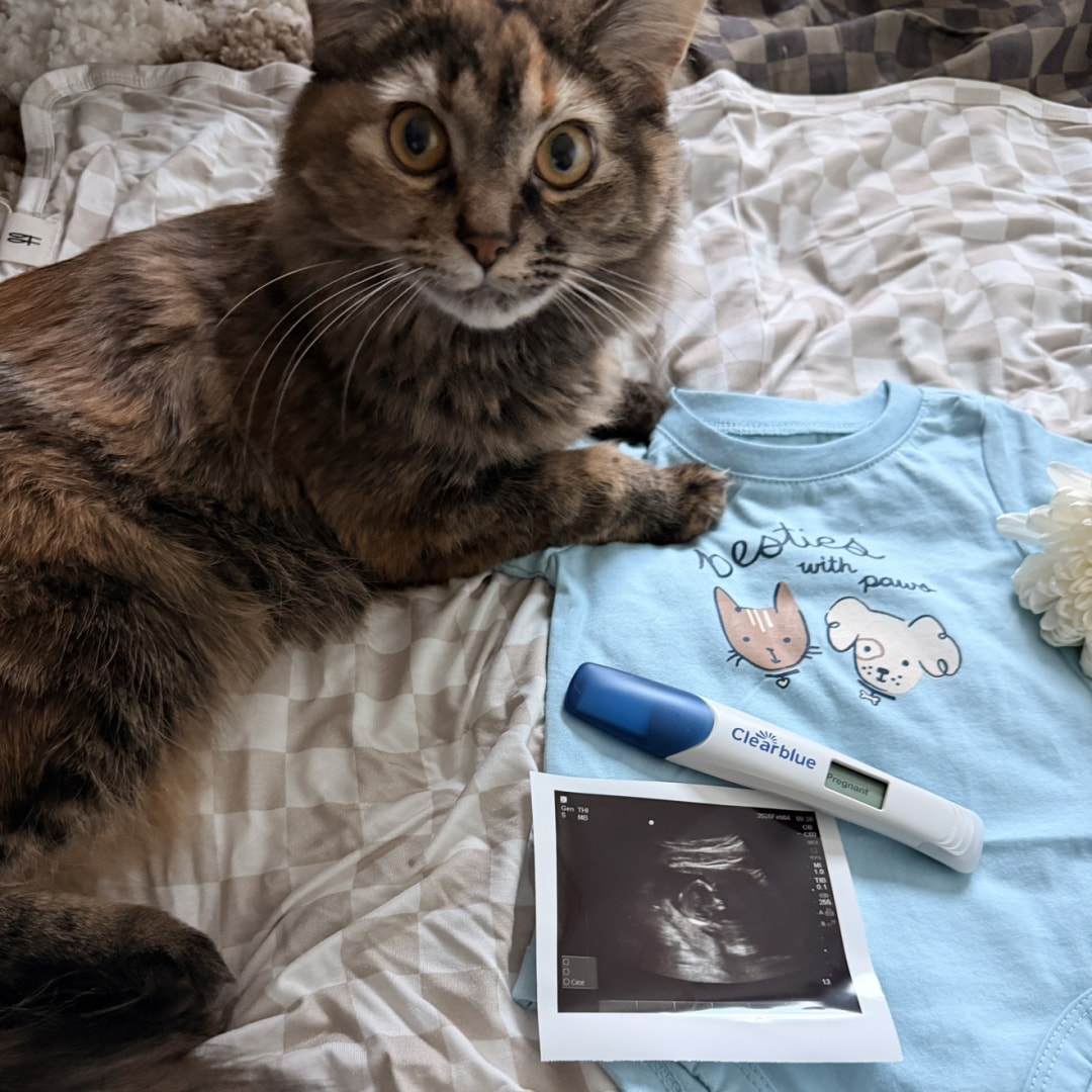 Photo shared by Kelly for their Babylist baby registry.