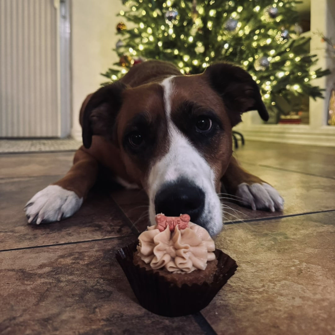 Photo shared by Arlyssa for their Babylist baby registry.