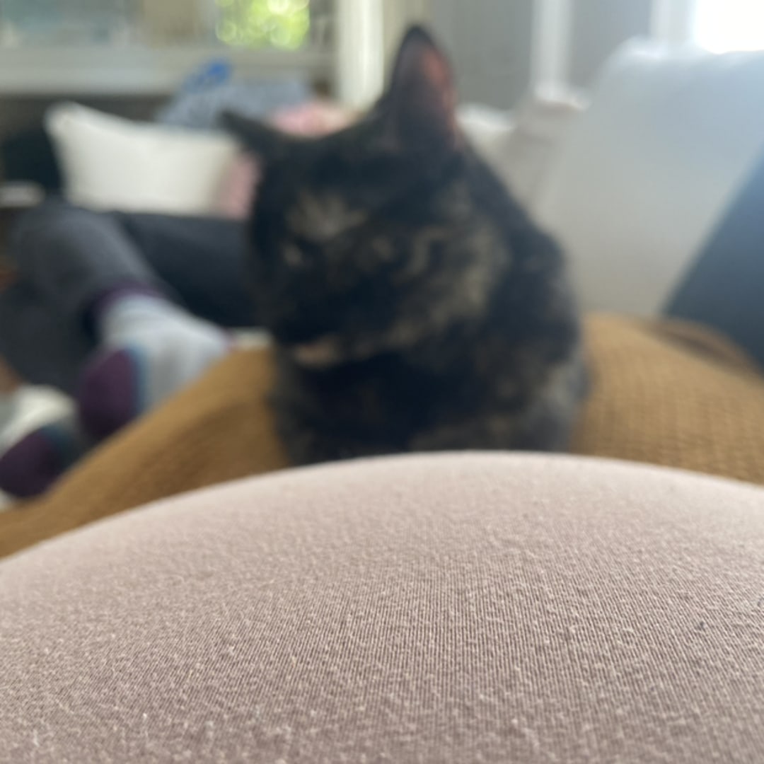Photo shared by Abby for their Babylist baby registry.