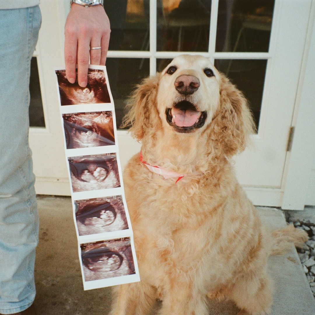 Photo shared by Raquel for their Babylist baby registry.