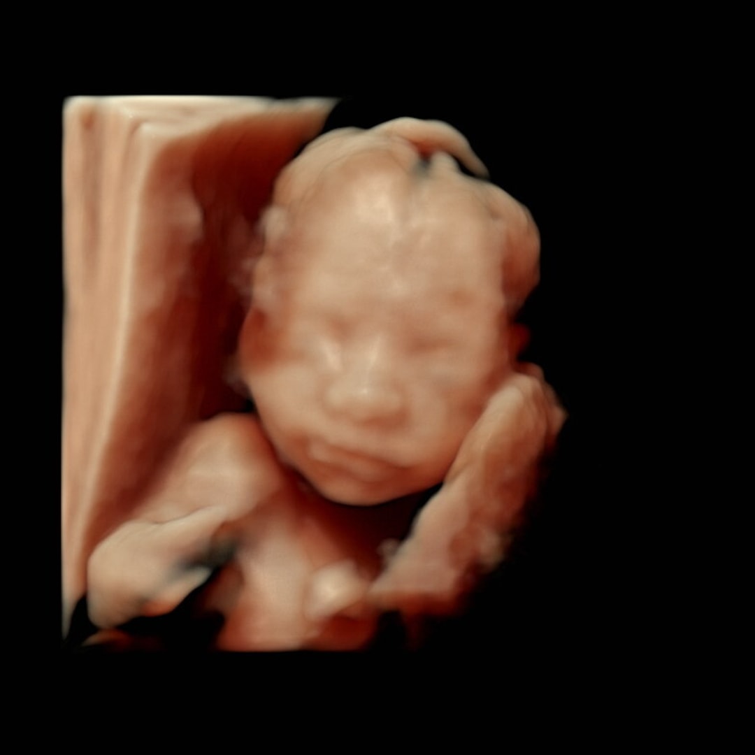 Photo shared by Ariel for their Babylist baby registry.