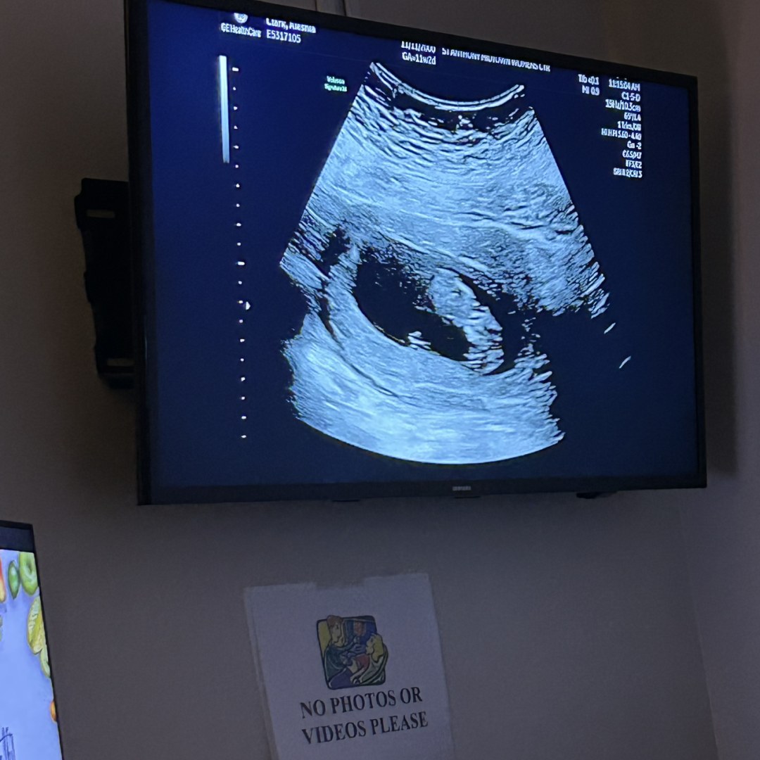 Photo shared by Aleshia for their Babylist baby registry.