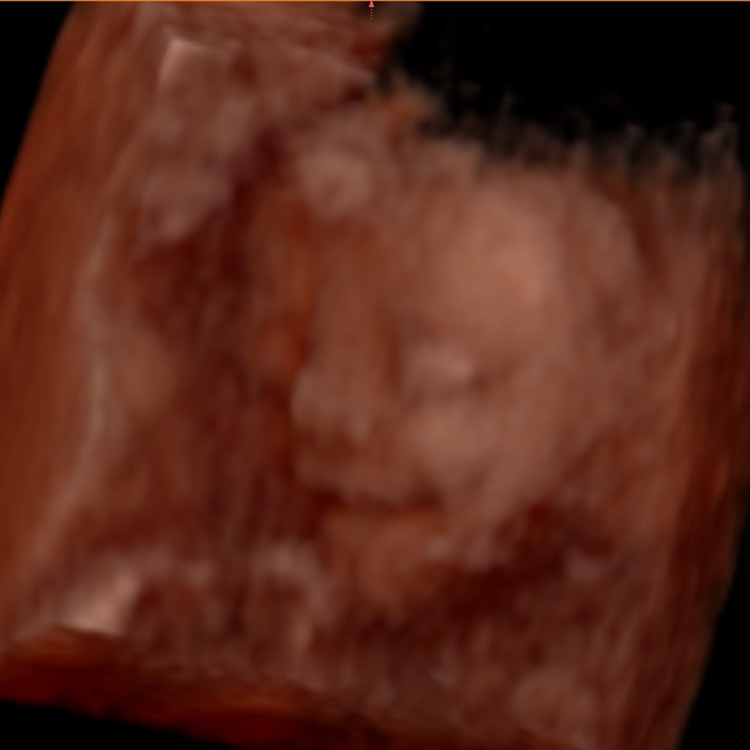 Photo shared by Ava for their Babylist baby registry.