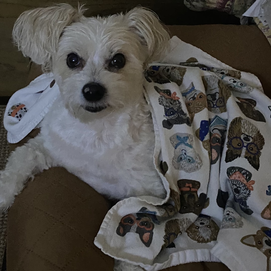 Photo shared by Elma for their Babylist baby registry.