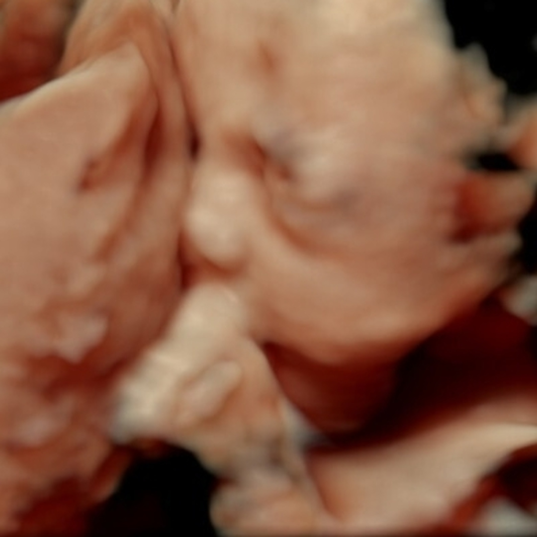 Photo shared by Dulce for their Babylist baby registry.