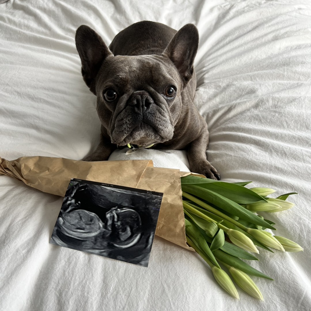 Photo shared by Sara for their Babylist baby registry.