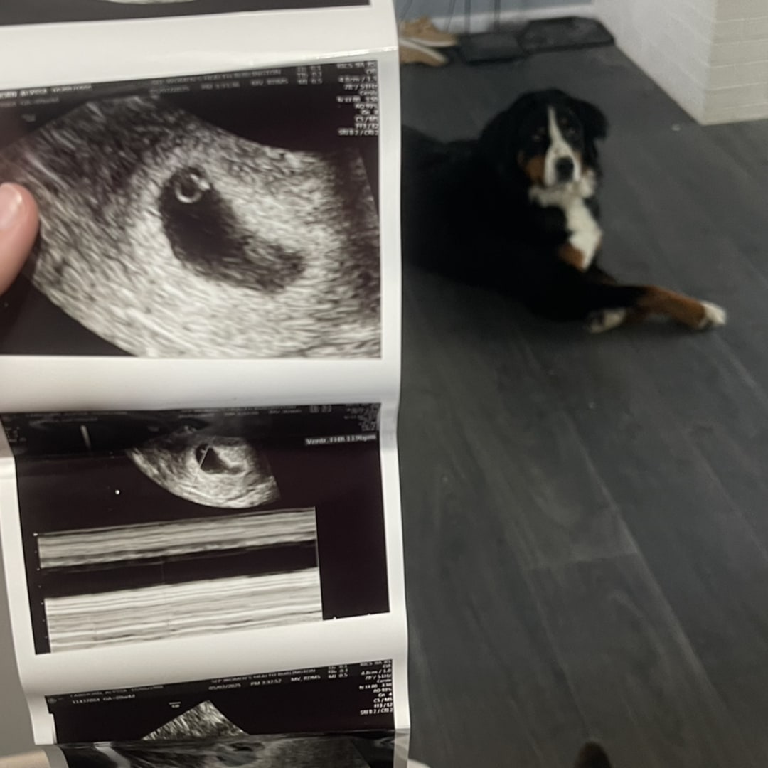 Photo shared by Alyssa for their Babylist baby registry.