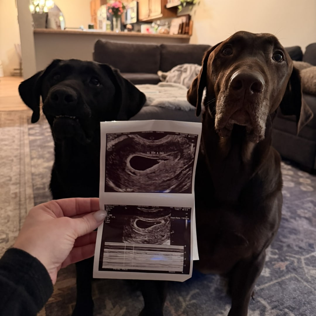 Photo shared by Marisa for their Babylist baby registry.