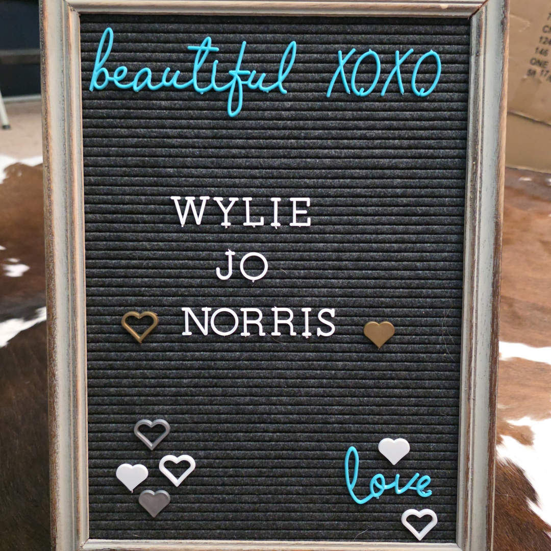 Photo shared by Kassidy for their Babylist baby registry.