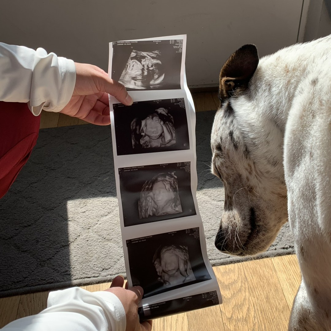 Photo shared by Cerissa for their Babylist baby registry.