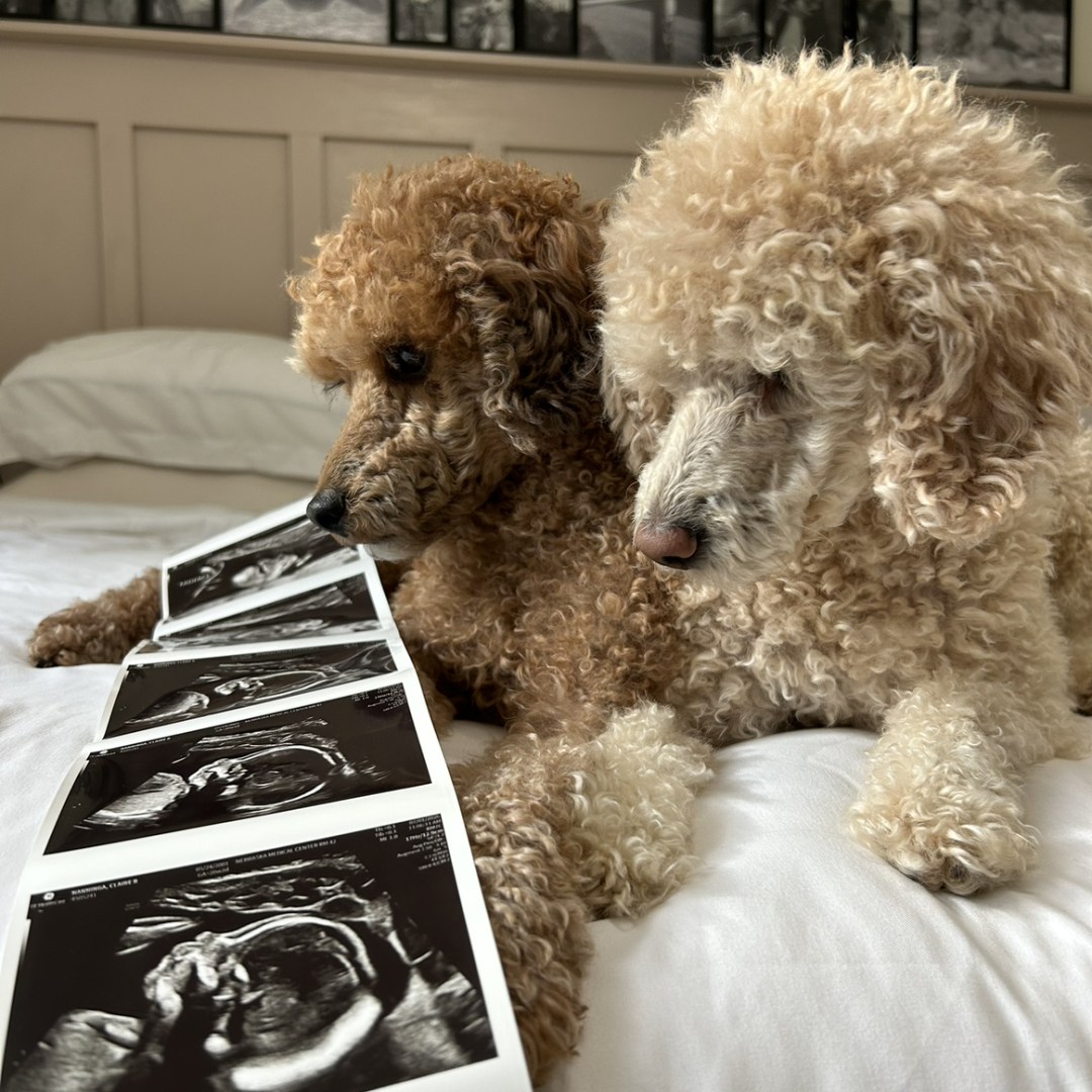Photo shared by Claire for their Babylist baby registry.