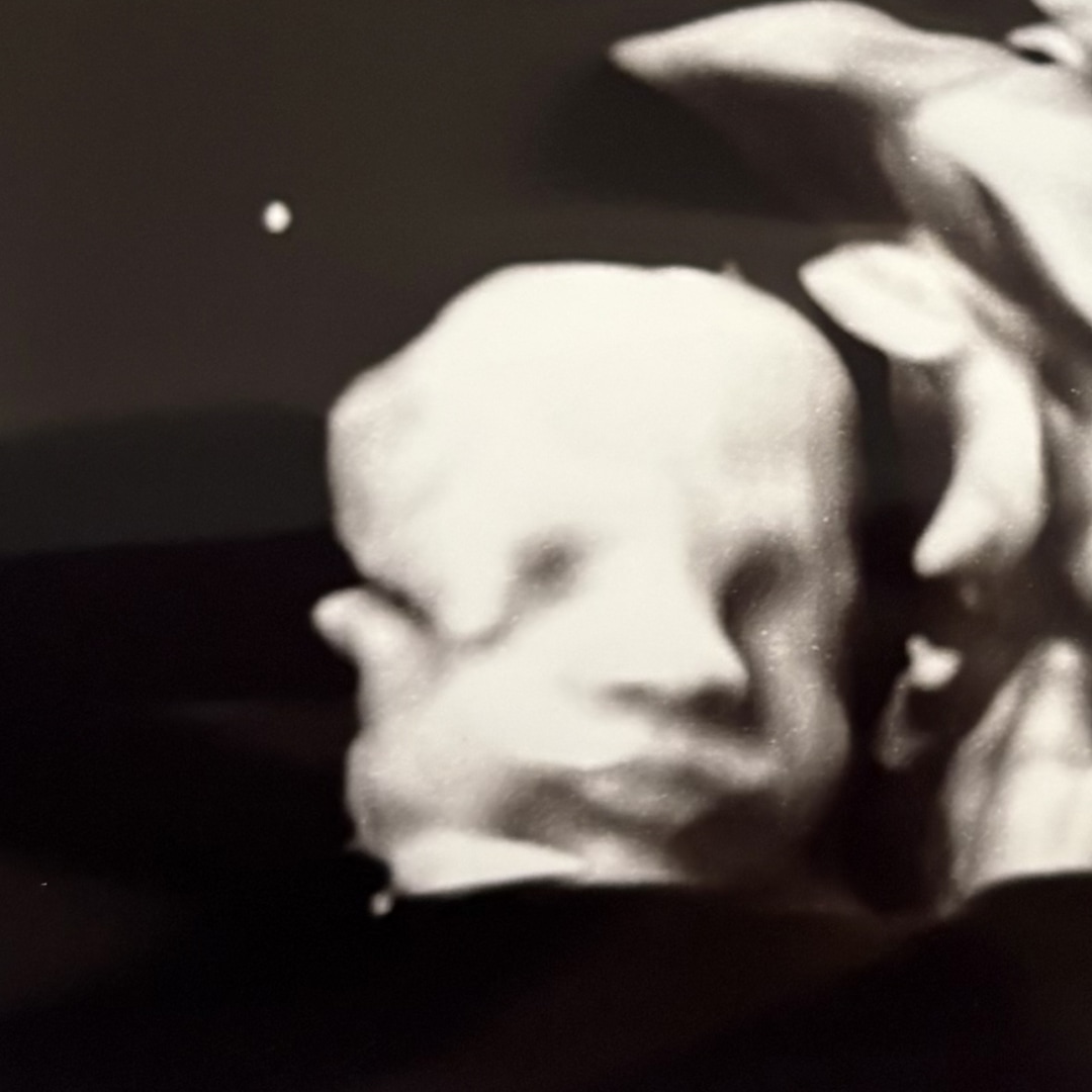 Photo shared by Camryn for their Babylist baby registry.